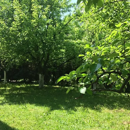 度假居 River Side 维索科